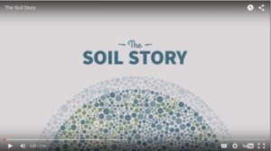soil-story