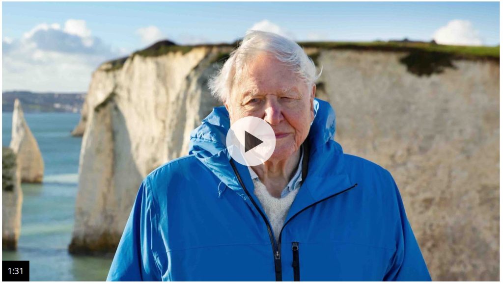David Attenborough