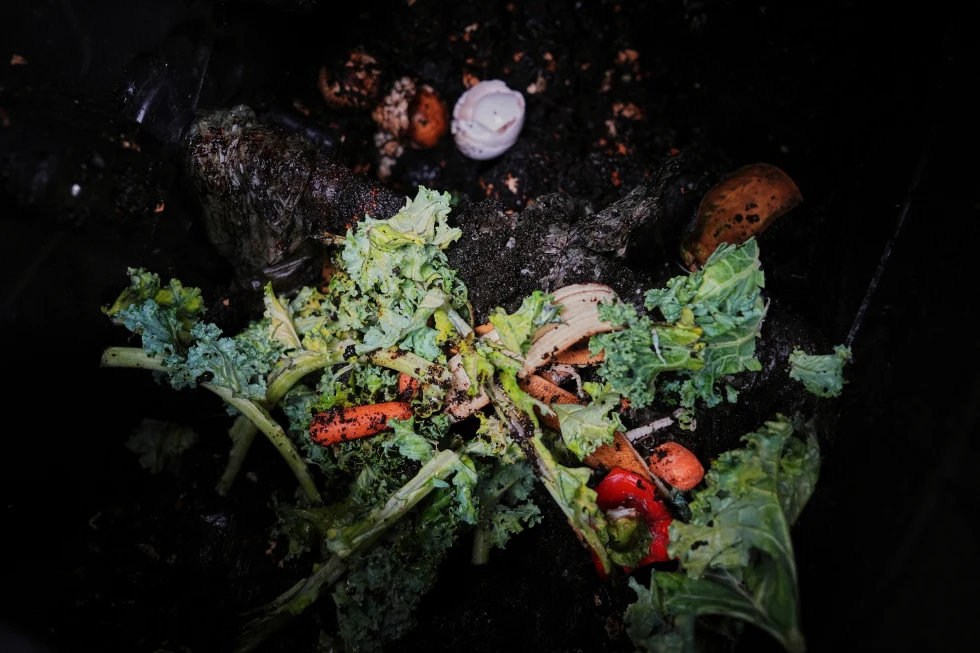 Compost