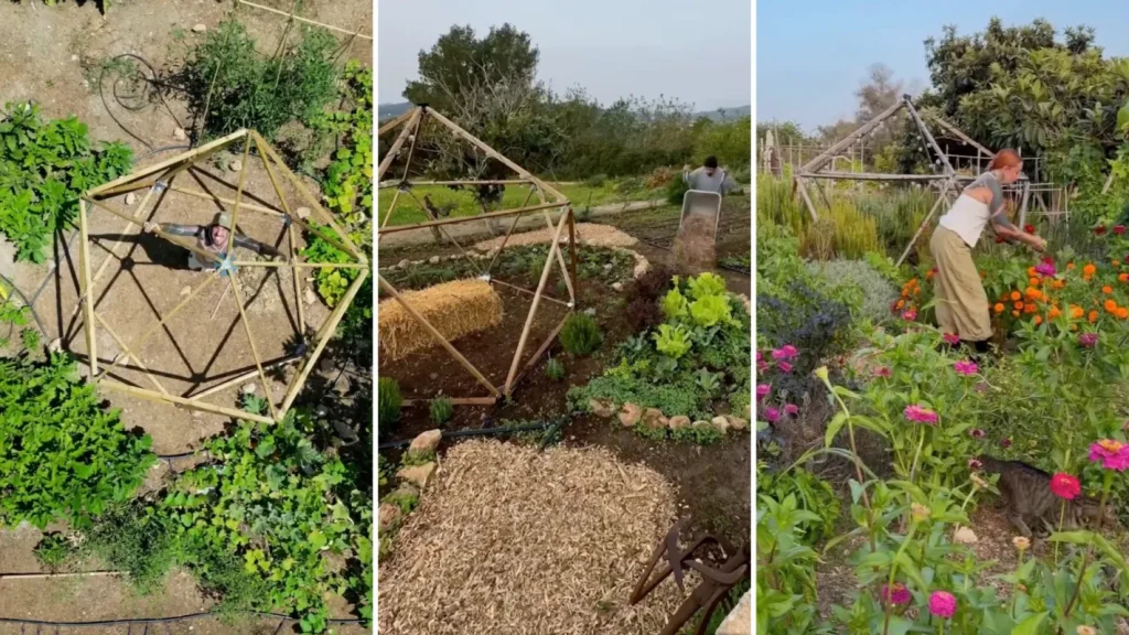 Zero Waste Farm